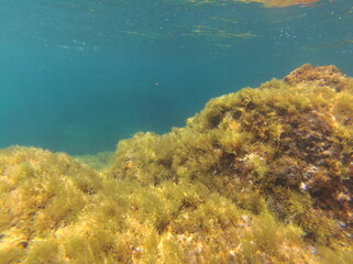 Callella de Palafrugell, Cataluña, España