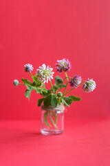 Colorful spring floral background, space for text. natural fashion decorative design. Amazing flowers background. Beautiful view of clover flowers in a vase. Red background