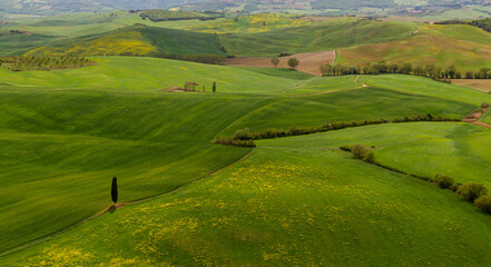 Obraz premium Panorama della Val d'Orcia