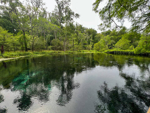 The Spring In Ichetucknee State Park In Florida On A Sunny Day.