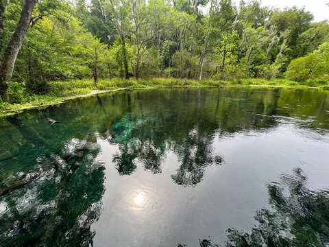 The Spring In Ichetucknee State Park In Florida On A Sunny Day.