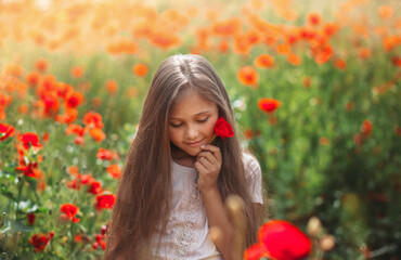 Little longhaired girl  posing at field of poppies with  on summer sun.
