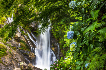 見帰りの滝と紫陽花
