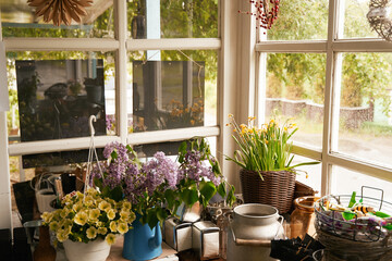 Beautiful flowers in gardener house near window