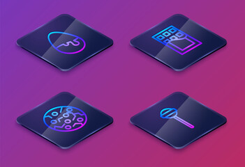 Set Isometric line Chocolate egg, Cookie or biscuit, bar and Lollipop. Blue square button. Vector