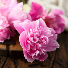 Pink peonies in bloom