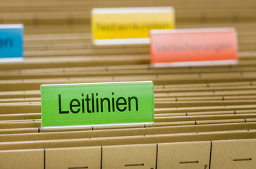 Hängemappen mit der Beschriftung Leitlinien