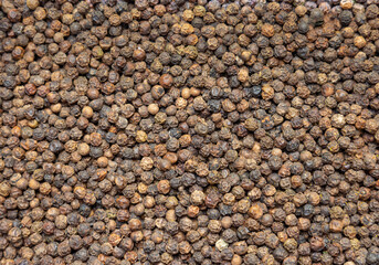 Black peppercorns close-up over the entire surface of the frame