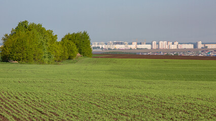View of the city of Naberezhnye Chelny from a spring green field