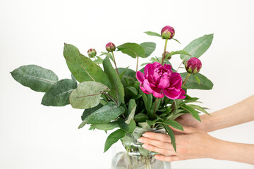 Female florist hands making beautiful bouquet using pink peonies and green eucalyptus branches in glass vase on white isolated background. Feminine minimalist greeting card template with copy space.
