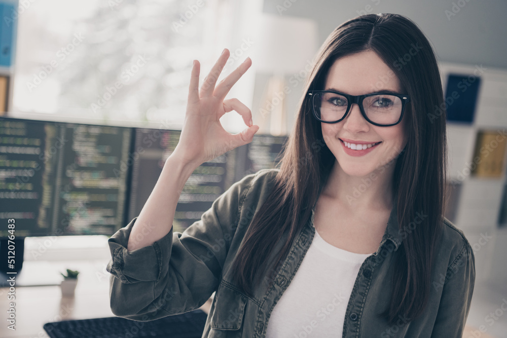 Poster portrait of attractive skilled cheerful girl nerd showing ok-sign advert tech company support at wor