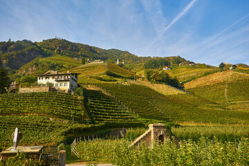 Idyllic rural landscape with a castle and vineyards. Merano, Italy - obrazy, fototapety, plakaty