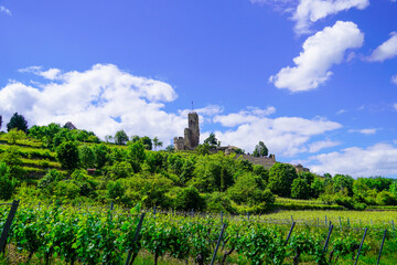 Fototapeta na wymiar Ruins of Wachenheim Castle near Bad Durkheim. Wachtenburg in Wachenheim on the Wine Route with surrounding nature. 