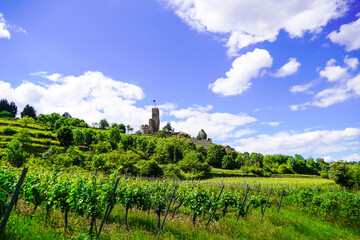 Fototapeta na wymiar Ruins of Wachenheim Castle near Bad Durkheim. Wachtenburg in Wachenheim on the Wine Route with surrounding nature. 