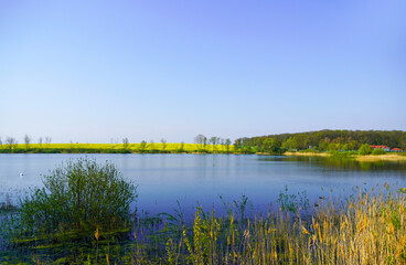 Döllnitzsee near Wermsdorf. Reservoir in Saxony with surrounding nature.
