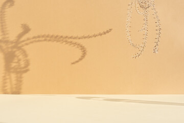 Minimal abstract background for the presentation of a cosmetic product. Premium podium with a shadow of pampas grass on a beige wall. Scene for advertising your product