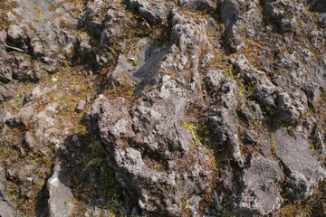 .Stone texture.