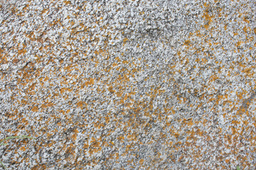 .Stone texture.
