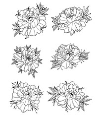 collection graphic illustration chinese peony for tattoo and print