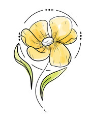 flower line sketch graphic illustration with watercolor for tattoo