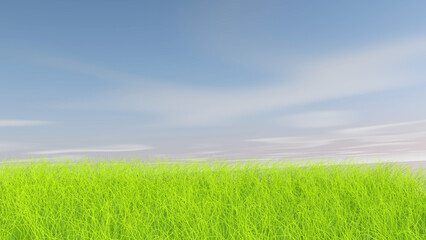 Fototapeta na wymiar Meadow with sky background. 3D illustration, 3D rendering
