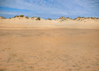 Fototapeta na wymiar Dunes with vegetation on the beach 