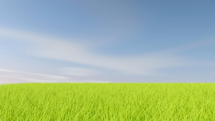 Fototapeta premium Meadow with sky background. 3D illustration, 3D rendering 