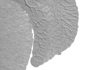 black white abstract acrylic painting color texture on white paper background by using rorschach inkblot method