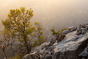 Mountain landscape - green tree and rocks on slope of canyon on sunset in golden sunlight and soft...