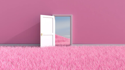 Door on meadow in the empty room with sky background. 3D illustration, 3D rendering