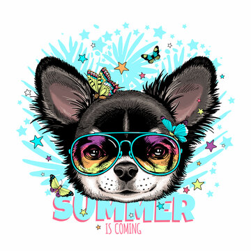 Cute chihuahua with butterflies.Summer is coming  illustration. Stylish image for printing on any surface