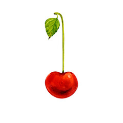 One cherry with a leaf on a white background. Red cherry in watercolor.