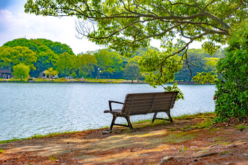 【福岡】大濠公園の池のほとりのベンチ