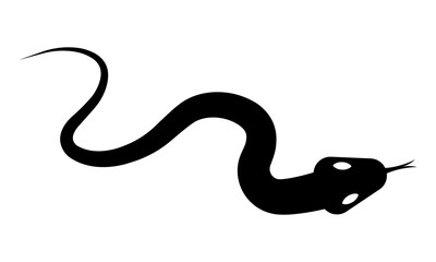Snake icon vector on white background. Snake venomous black silhouette. Vector 10 EPS.