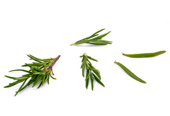 Fototapeta premium rosemary on white background isolated