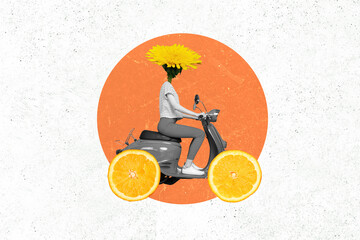 Creative collage image of person black white gamma flower instead head orange slices wheels drive moped isolated on drawing background