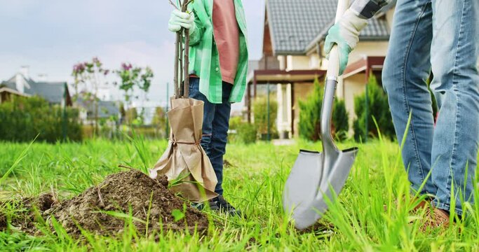 Close up of digging hole in ground for tree to grow. Little cute Caucasian boy helping his father in planting trees in garden on summer day. Small son watching how daddy working. At summerhouse.