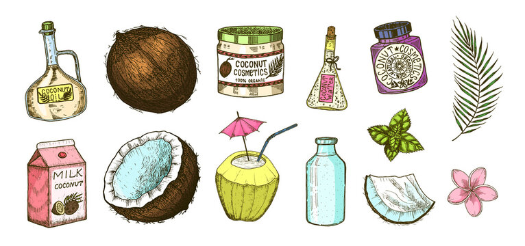 Coconut and palm leaf, Milk packaging, glass bottle, butter, cosmetic cream jar, cocktail with umbrella. Vintage style. Tropical food illustration