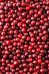 Ripe red cherry. Background for screensaver on the phone