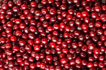 Ripe red cherry. Background for screensaver on the phone