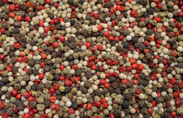 Mix of black red and white pepper seeds