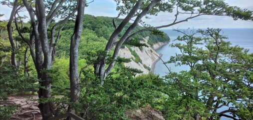 Möns Klint, Insel Mön, Kreidefelsen, Dänemark