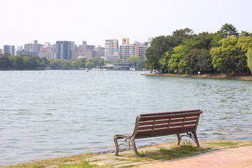 湖の前のベンチ、都会の公園
