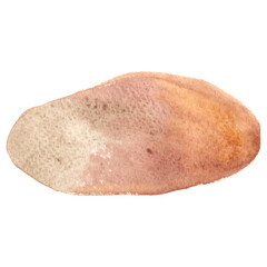 Brown color oval frame watercolor for decoration on coffee cafe and historical concept.