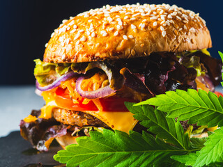 A vegan burger with medical cannabis consisting. Dark background. Horizontal orientation.