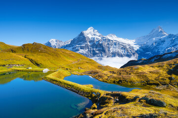 Grindelwald, Switzerland. High mountains and reflection on the surface of the lake. Mountain valley with lake. Landscape in the highlands in the summertime.