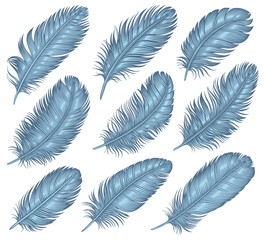Bird feathers. Design set. Editable hand drawn illustration. Vector vintage engraving. 8 EPS
