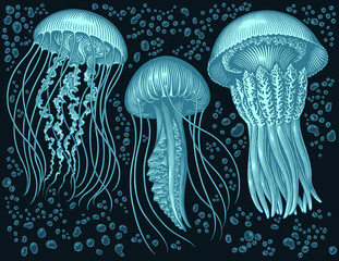 Jellyfish in the ocean. Design set. Editable hand drawn illustration. Vector vintage engraving. 8 EPS
