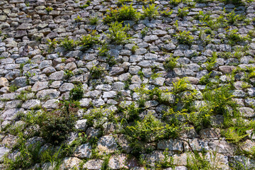 ところどころに緑の草が生えた古い石垣