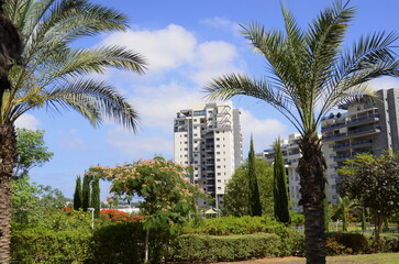 Fototapeta na wymiar Beautiful residential building surrounded by a garden. Modern housing. Israel - high-rise building, flowering trees. Concept: nice place to live, real estate purchase